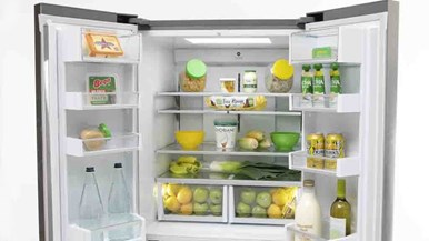 Fisher u0026 Paykel RF523GDX1