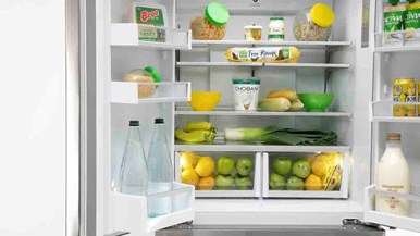 Fisher u0026 Paykel RF523GDX1