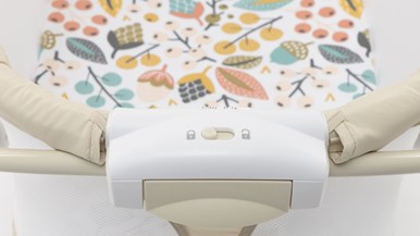 Fisher-Price Soothing View Bassinet