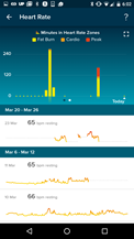 FitBit surge