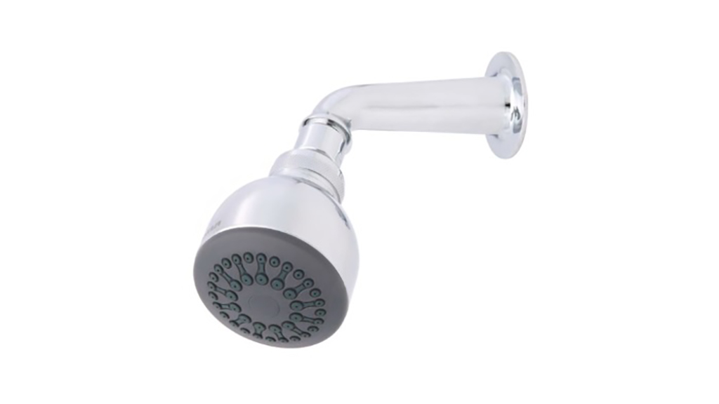 Flexispray Cayman Single Function Wall Shower 30-6107