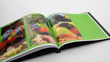 Fotofast 11x8.5u0022 Double Sided Everyday Book