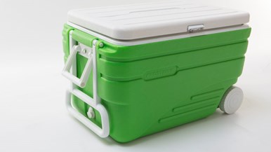 Frostbite Chest cooler 73L