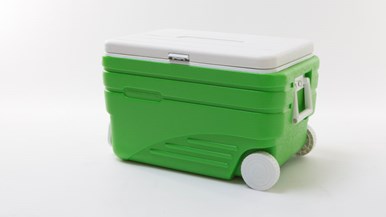 Frostbite Chest cooler 73L