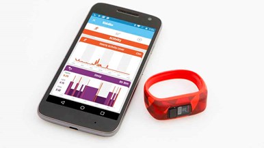 Garmin Vivofit Jr.