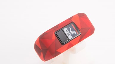 Garmin Vivofit Jr.