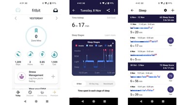 Google Pixel Watch (Bluetooth/Wi-Fi) Stretch band