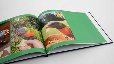 Harvey Norman 8x11u0022 Classic Hard Cover Book