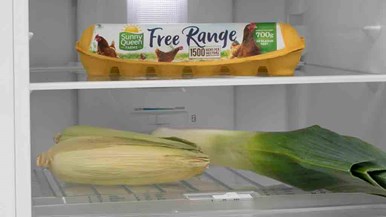 Kelvinator KTB2302WA