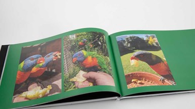 Kmart 8x12u0022 Premium Hardcover Photo Book