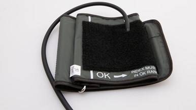 Kogan Bella Vita Digital Upper Arm Blood Pressure Monitor