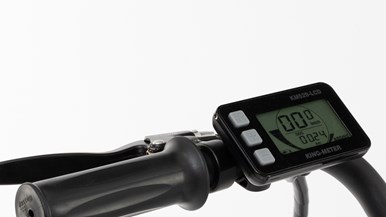 Leitner Milan Cruiser