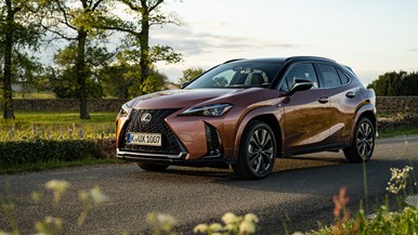 Lexus UX 300e Luxury