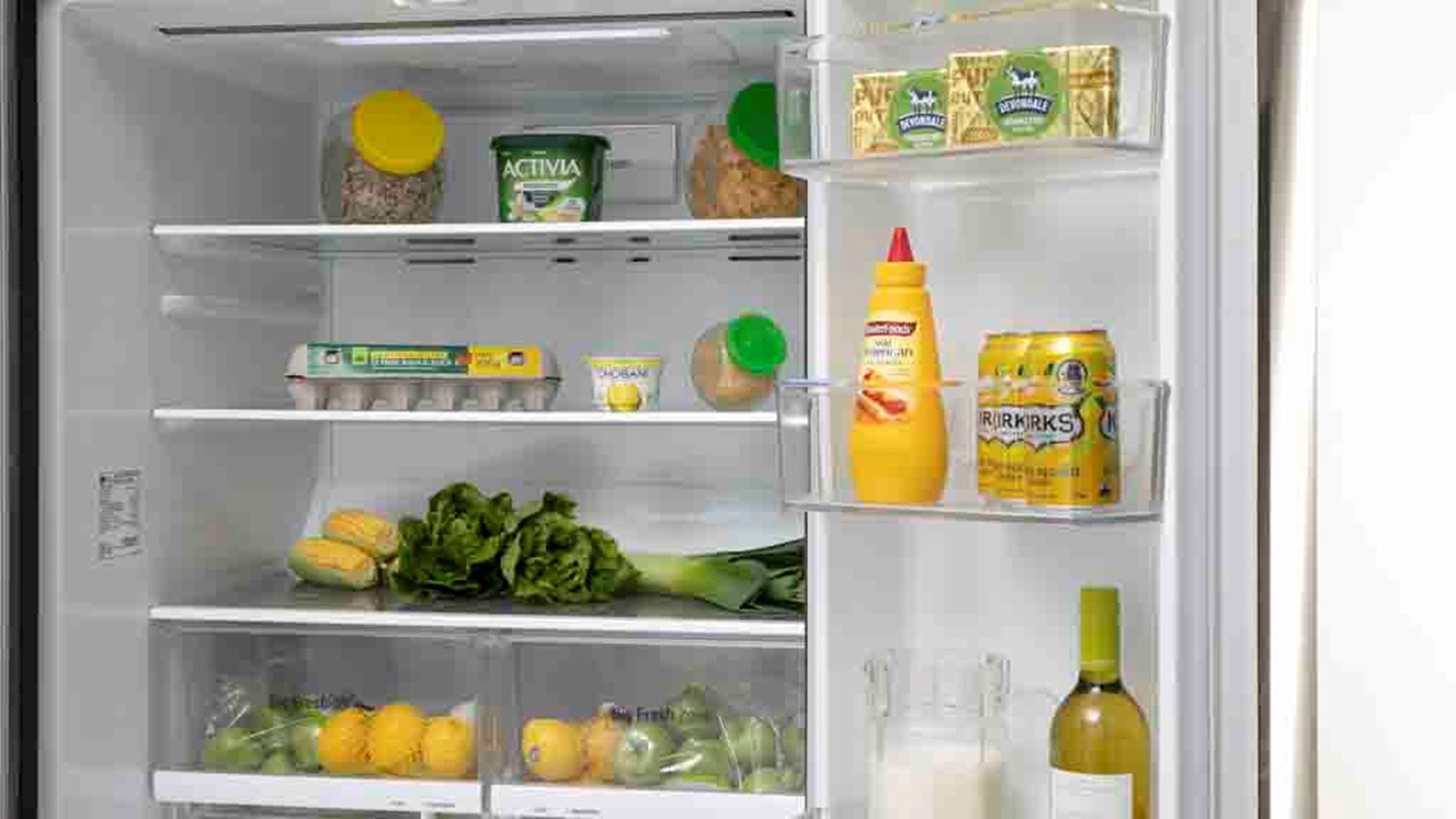 LG GFB590PL Review Best rated fridges CHOICE