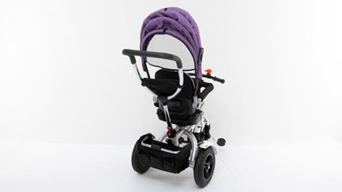 Liangn_zn (eBay) Convertible Tricycle Stroller