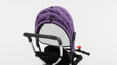 Liangn_zn (eBay) Convertible Tricycle Stroller