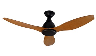 Ceiling Fan Reviews Choice