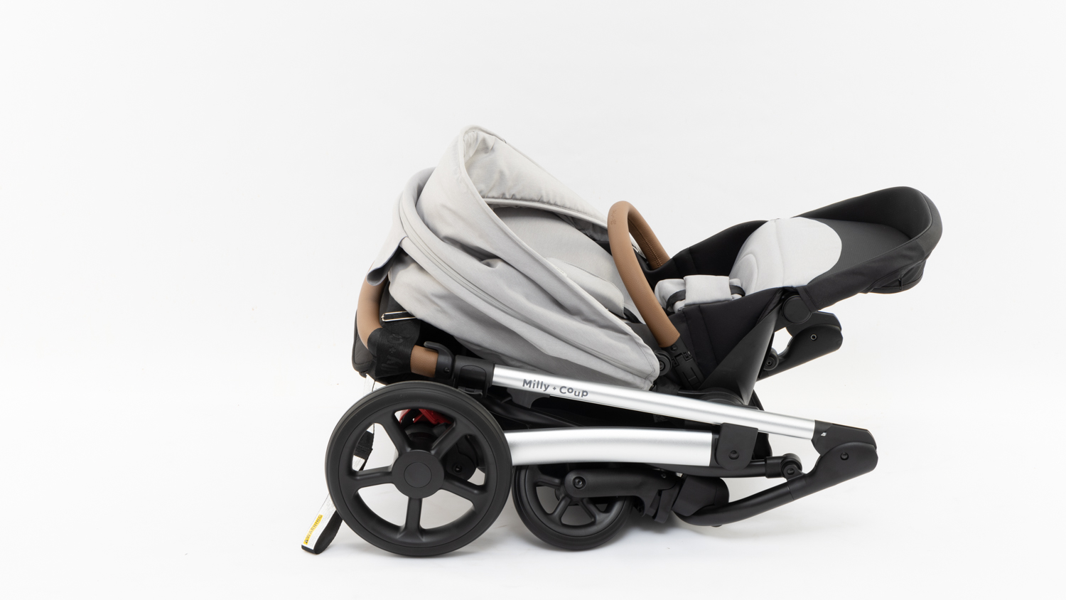 Milly u0026 Coup Milo2