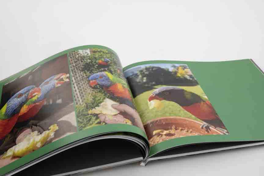 Mimeo Hardcover 11 x 8.5u0022