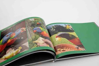 Mimeo Hardcover 11 x 8.5u0022