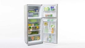 regular size refrigerator