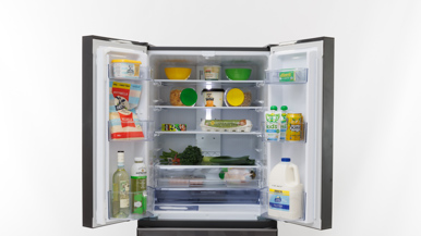 Mitsubishi Electric MR-LX442EX-GDS-A