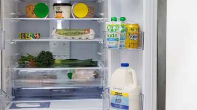 Mitsubishi Electric MR-LX442EX-GDS-A