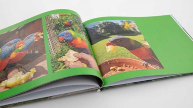 Mixbook 11x8.5u0022 Glossy Hardcover