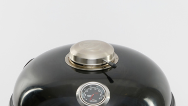 Napoleon Professional 22 Charcoal Kettle - PRO22K-LEG-3