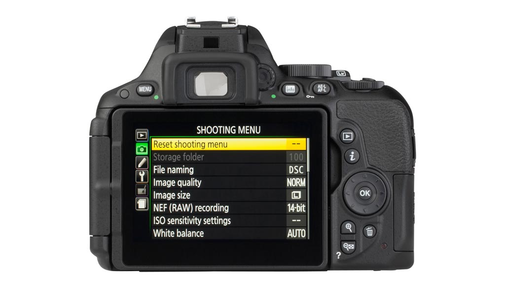 Nikon D5500