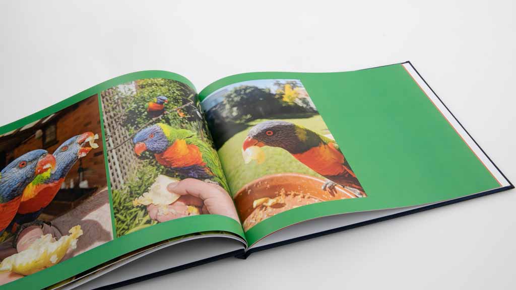 Officeworks 8 x 11u0022 Classic Hard Cover