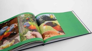 officeworks print and bind