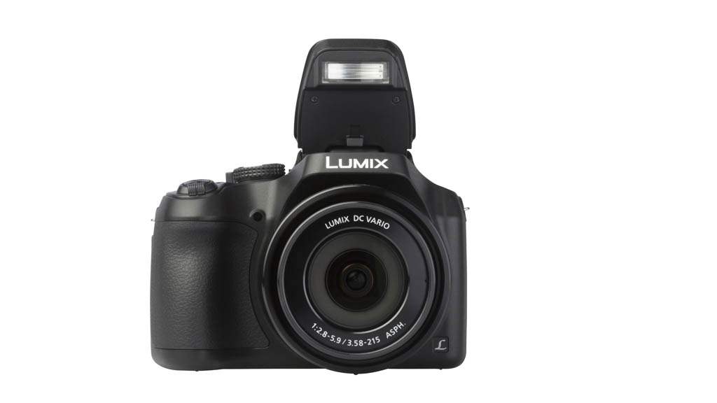 Panasonic LUMIX DC-FZ80 Review | Digital camera | CHOICE