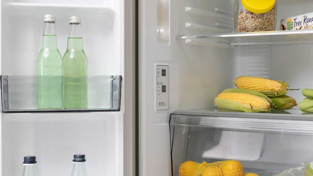 Panasonic NR-CY55CPSAU