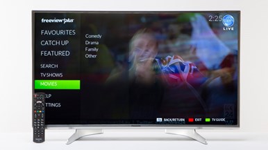 Panasonic TH-40DX600U