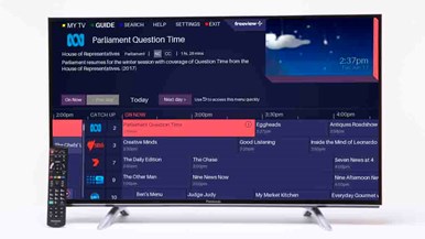 Panasonic TH-40ES500A