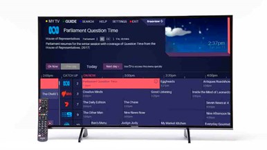 Panasonic TH-43FX600A