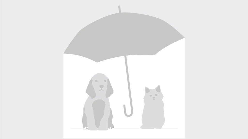 Petplan/Guide Dogs Ultimate Dog Pet insurance reviews CHOICE