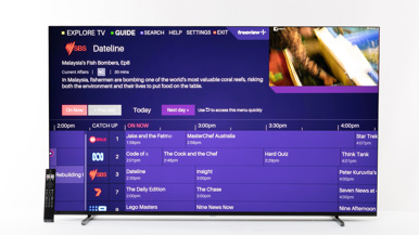 Philips 65PQT9020/79