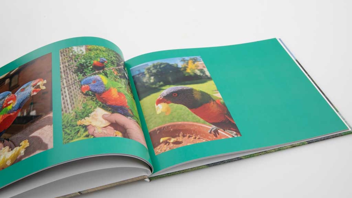 Photobook Australia Medium Landscape Imagewrap 11x 8.5 Review Photo