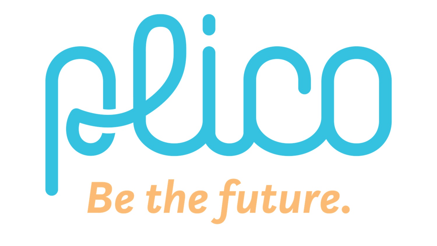 Plico Virtual Power Plant