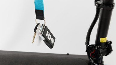 Riese u0026 Muller Carrie City