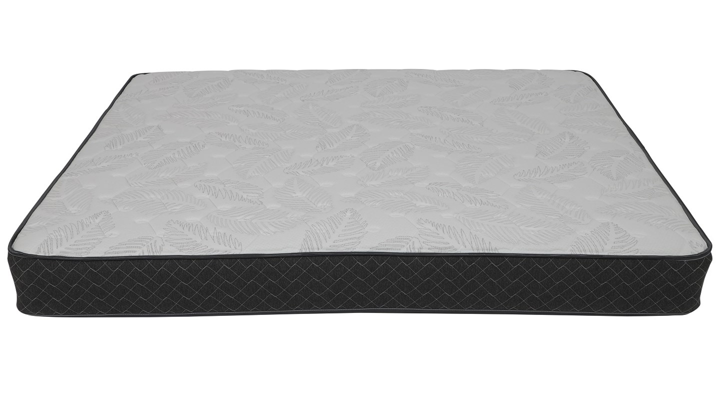 Sealy Back Support Harmony Review Mattress CHOICE