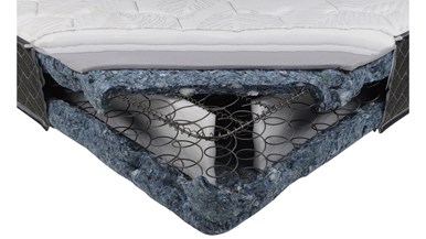 Sealy Back Support Harmony