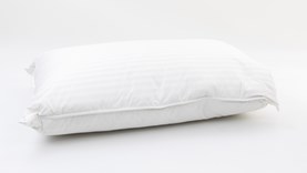 Sheridan deluxe feather outlet & down pillow