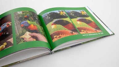 Shutterfly 8x11 Hard photo cover