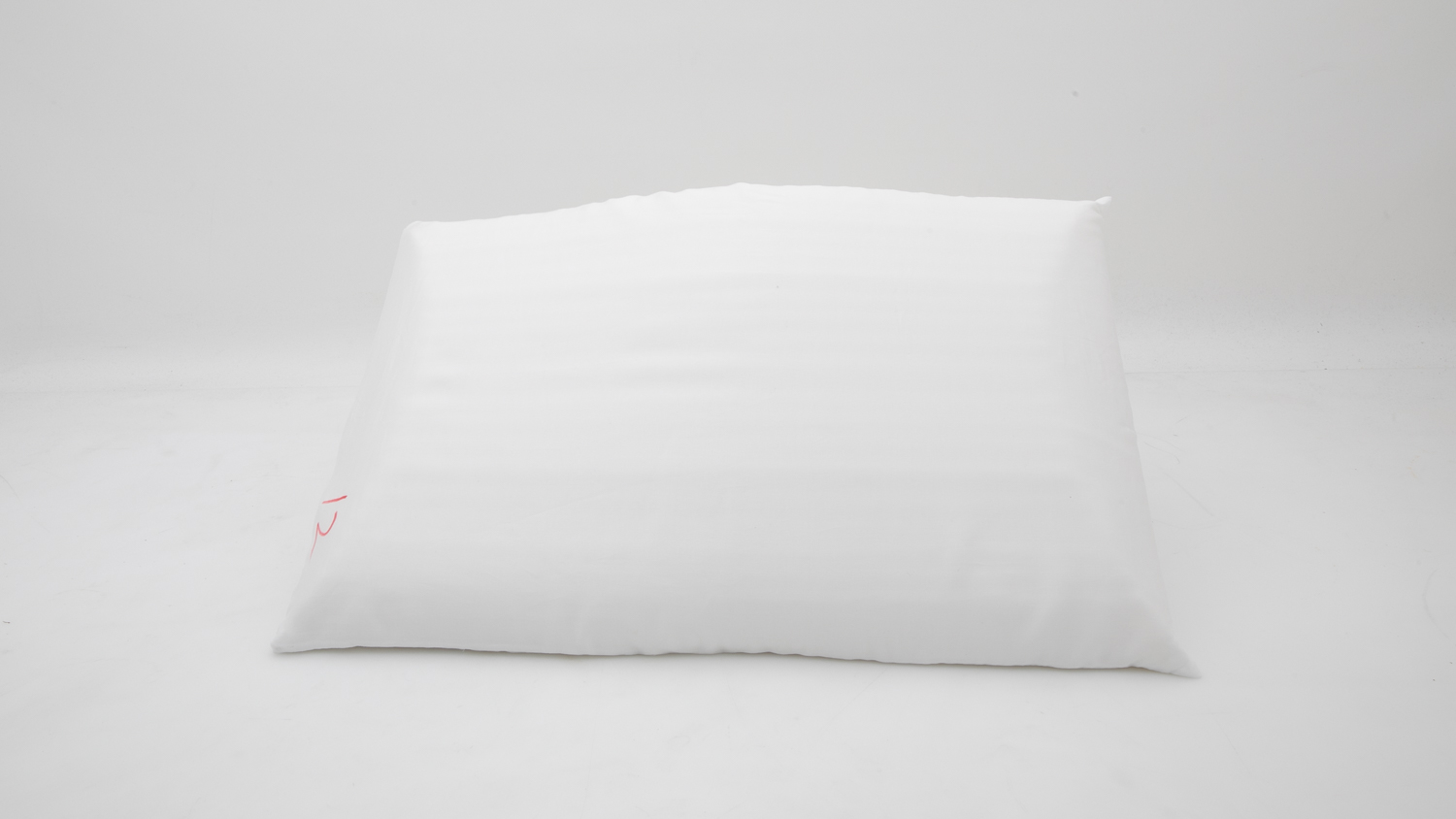 Sleeping Duck Pillow / Standard