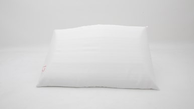 Sleeping Duck Pillow / Standard