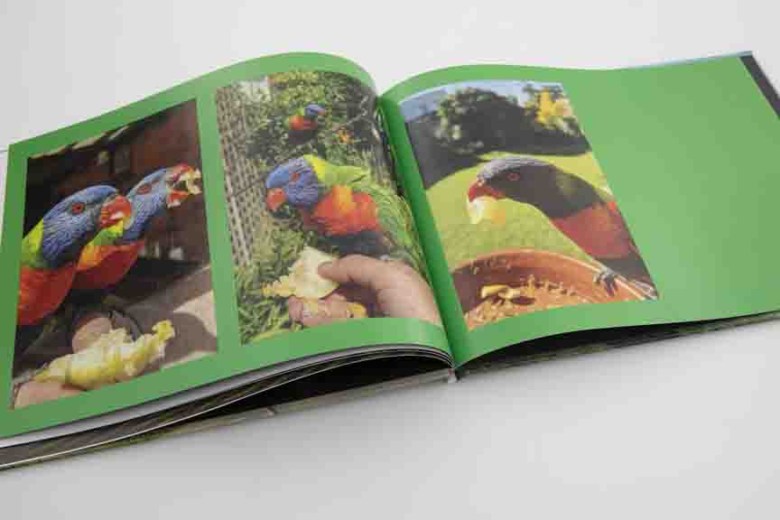 Snapfish 20x28cm (8u0022 x 11u0022) Custom Hardcover