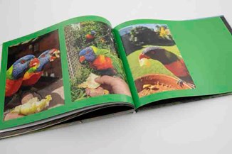 Snapfish 20x28cm (8u0022 x 11u0022) Custom Hardcover